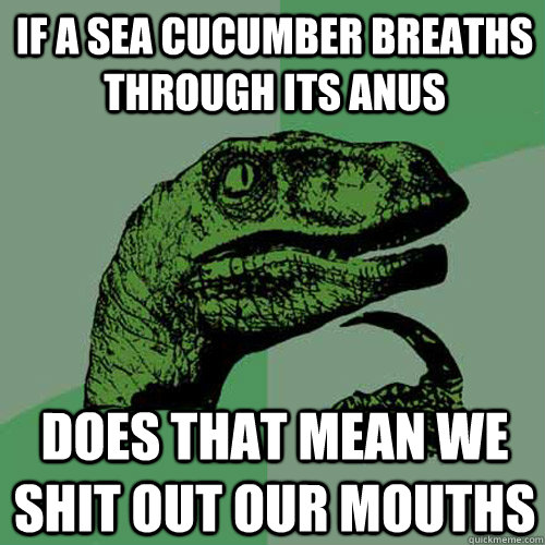 If a Sea cucumber breaths through its anus does that mean we shit out our mouths  Philosoraptor