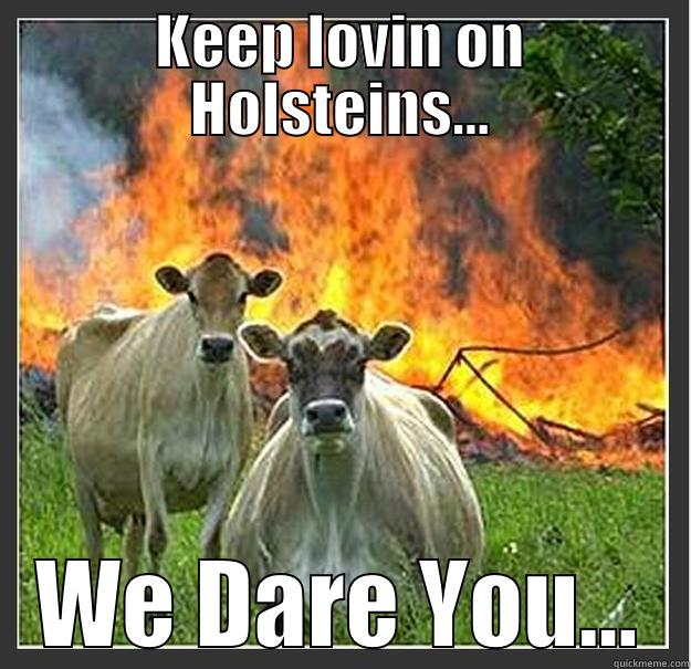 KEEP LOVIN ON HOLSTEINS... WE DARE YOU... Evil cows