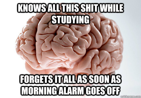 knows all this shit while studying forgets it all as soon as morning alarm goes off  Scumbag Brain