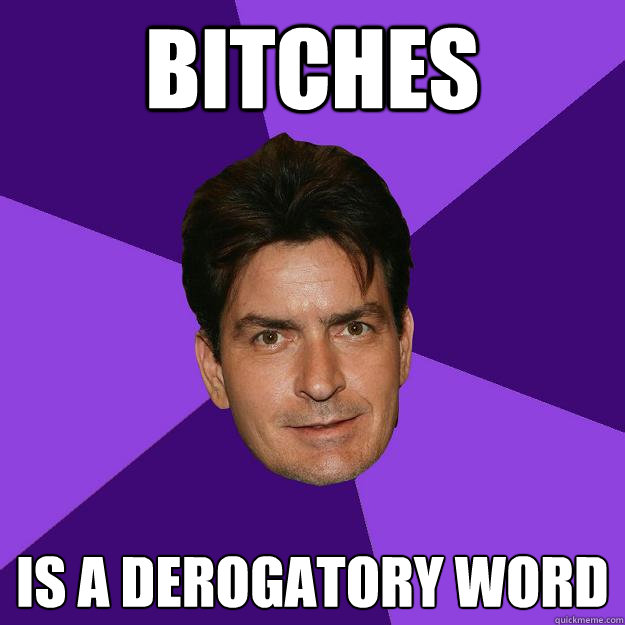 BITCHES IS A DEROGATORY WORD  Clean Sheen