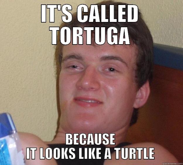 Tortuga shit - IT'S CALLED TORTUGA BECAUSE IT LOOKS LIKE A TURTLE 10 Guy