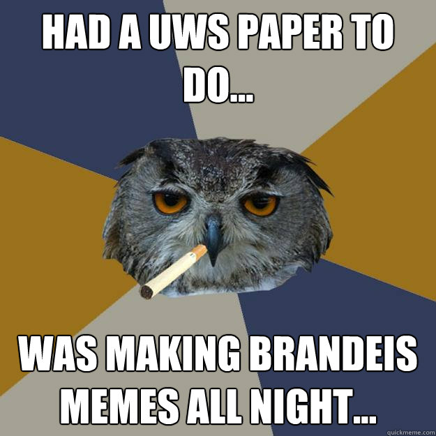 Had a UWS Paper to do... Was Making Brandeis Memes all night...  Art Student Owl