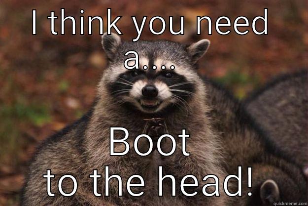 I THINK YOU NEED A.... BOOT TO THE HEAD! Evil Plotting Raccoon