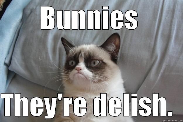 UVIC Grumpy Cat - BUNNIES  THEY'RE DELISH.  Grumpy Cat