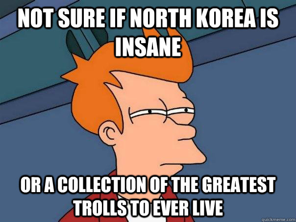 Not sure if North Korea is insane Or a collection of the greatest trolls to ever live  Futurama Fry