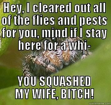 HEY, I CLEARED OUT ALL OF THE FLIES AND PESTS FOR YOU, MIND IF I STAY HERE FOR A WHI- YOU SQUASHED MY WIFE, BITCH! Misunderstood Spider