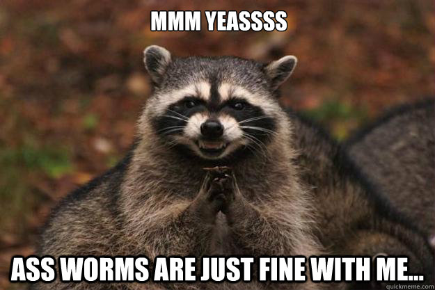 Mmm yeassss Ass worms are just fine with me...  Evil Plotting Raccoon