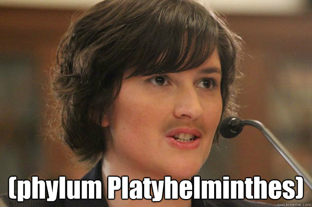  (phylum Platyhelminthes)  Slut Sandra Fluke