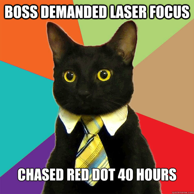 boss demanded laser focus chased red dot 40 hours  Business Cat