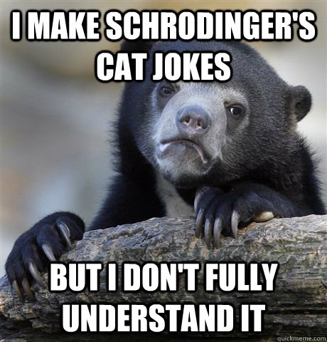 I make Schrodinger's cat jokes But I don't fully understand it - I make Schrodinger's cat jokes But I don't fully understand it  Confession Bear