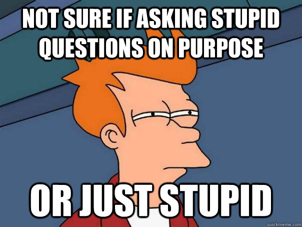 Not sure if asking stupid questions on purpose Or just stupid  Futurama Fry