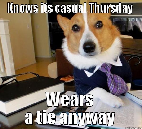 KNOWS ITS CASUAL THURSDAY WEARS A TIE ANYWAY Lawyer Dog