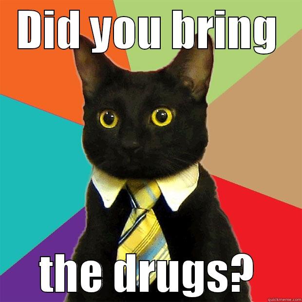 DID YOU BRING THE DRUGS? Business Cat