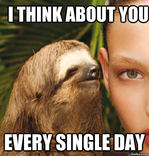 I think about you every single day  rape sloth