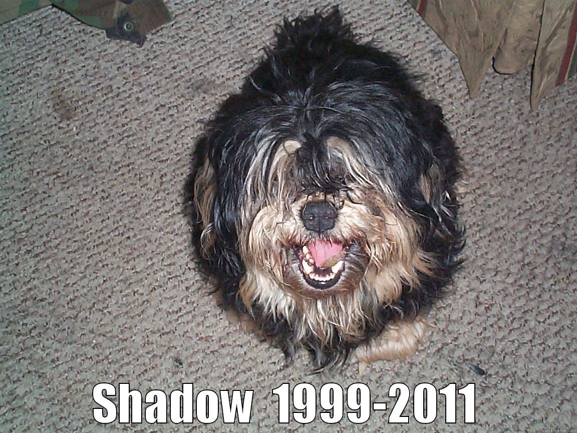  SHADOW  1999-2011 Misc