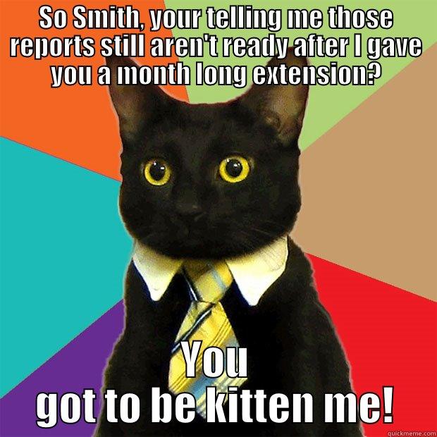 SO SMITH, YOUR TELLING ME THOSE REPORTS STILL AREN'T READY AFTER I GAVE YOU A MONTH LONG EXTENSION? YOU GOT TO BE KITTEN ME! Business Cat