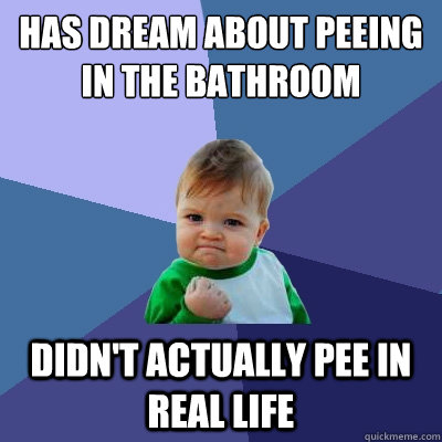 Has dream about peeing in the bathroom Didn't actually pee in real life - Has dream about peeing in the bathroom Didn't actually pee in real life  Success Kid