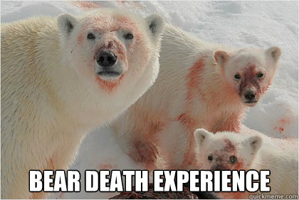  bear death experience  Bad News Bears