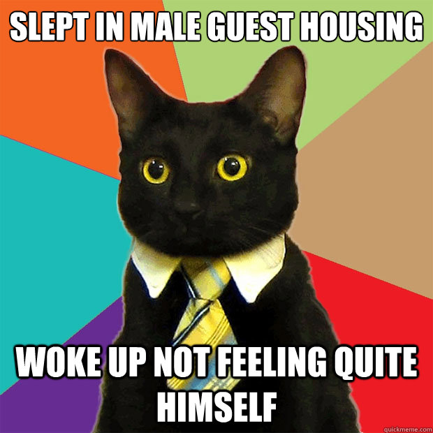 slept in male guest housing woke up not feeling quite himself  Business Cat