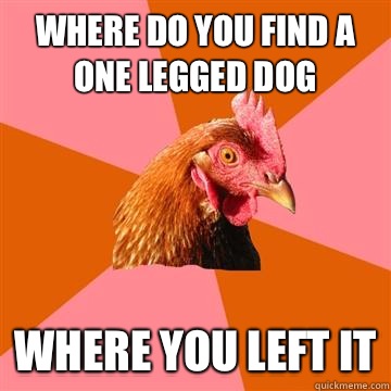 Where do you find a One legged dog Where you left it  Anti-Joke Chicken