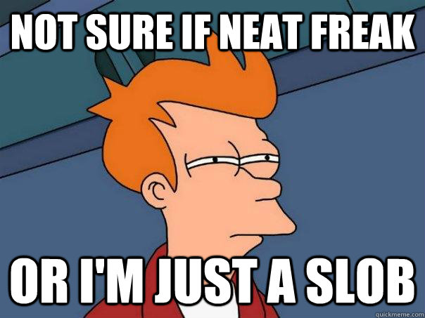 not sure if neat freak or i'm just a slob - not sure if neat freak or i'm just a slob  Futurama Fry