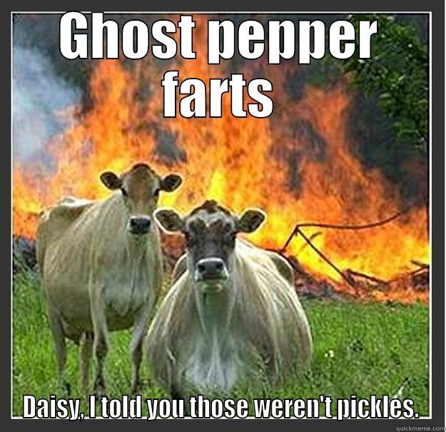 Steamy cows - GHOST PEPPER FARTS DAISY, I TOLD YOU THOSE WEREN'T PICKLES. Evil cows