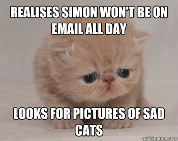 Realises simon won't be on email all day looks for pictures of sad cats  