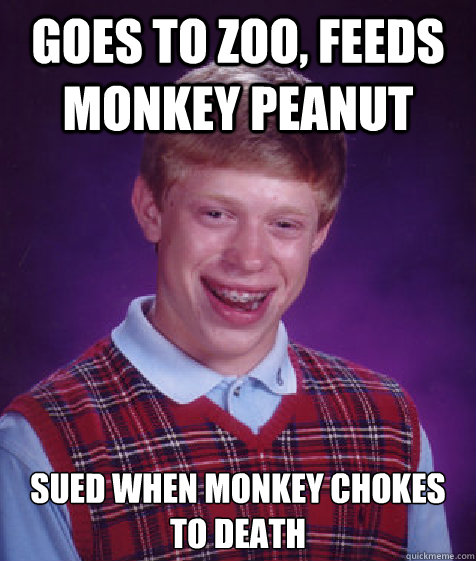 Goes to zoo, feeds monkey peanut 
Sued when monkey chokes to death  Bad Luck Brian