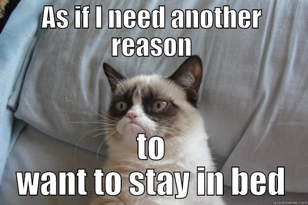 AS IF I NEED ANOTHER REASON TO WANT TO STAY IN BED Grumpy Cat