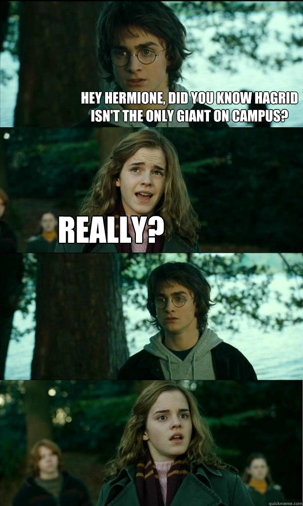 Hey Hermione, did you know hagrid isn't the only giant on campus? Really?   Horny Harry