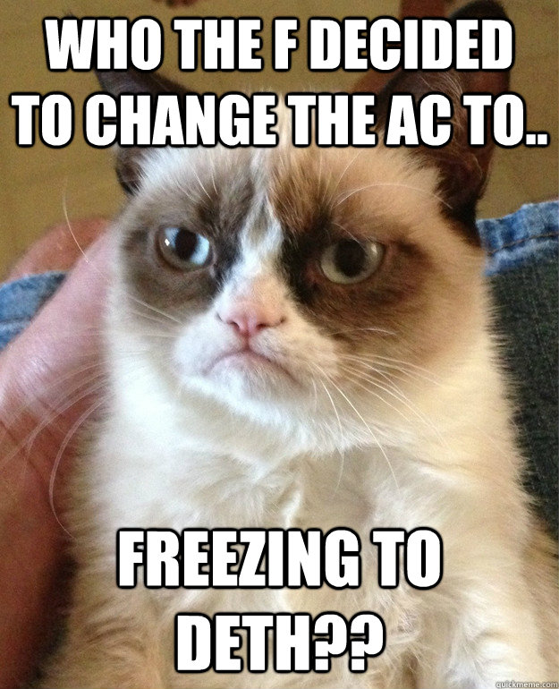 Who the F decided to change the AC to.. FREEZING TO DETH??  Grumpy Cat