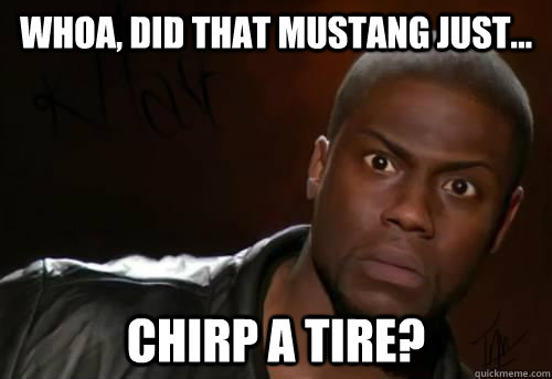 whoa, did that mustang just... chirp a tire?    I think its trying to communicate