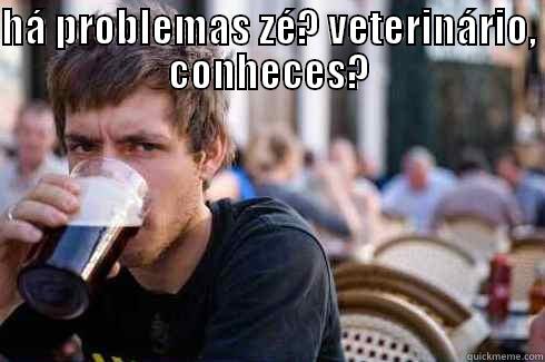 HÁ PROBLEMAS ZÉ? VETERINÁRIO, CONHECES?  Lazy College Senior