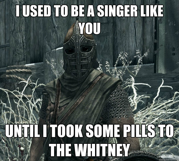 I used to be a singer like you until i took some pills to the whitney - I used to be a singer like you until i took some pills to the whitney  Skyrim Guard