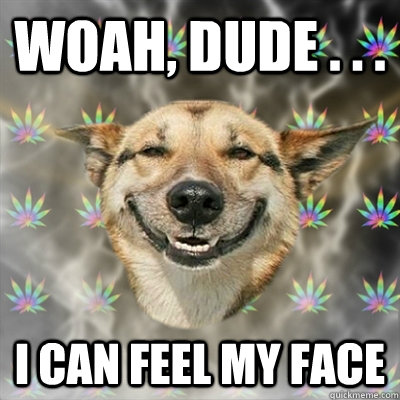 Woah, dude . . . I can feel my face  Stoner Dog