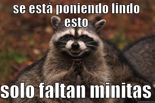 SE ESTÁ PONIENDO LINDO ESTO  SOLO FALTAN MINITAS Evil Plotting Raccoon