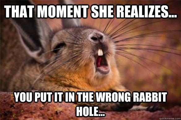 That moment she realizes... you put it in the wrong rabbit hole... - That moment she realizes... you put it in the wrong rabbit hole...  Rabbit day