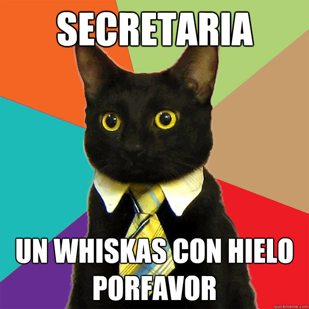 Secretaria un whiskas con hielo porfavor  Business Cat