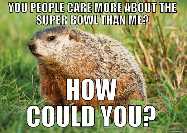 Groundhog Day 2014 - YOU PEOPLE CARE MORE ABOUT THE SUPER BOWL THAN ME? HOW COULD YOU? Misc