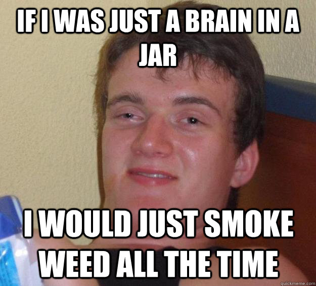 If I was just a brain in a jar I would just smoke weed all the time  10 Guy