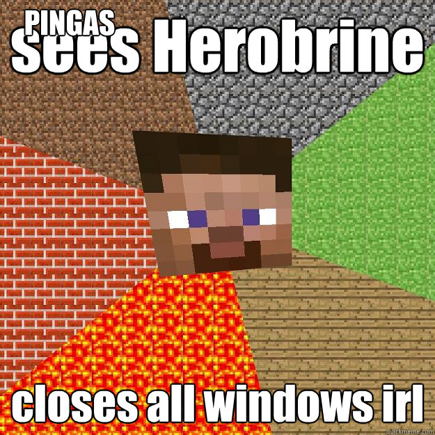 sees Herobrine closes all windows irl PINGAS - sees Herobrine closes all windows irl PINGAS  Minecraft