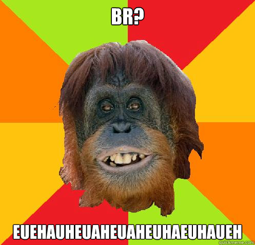 BR? EUEHAUHEUAHEUAHEUHAEUHAUEH  Culturally Oblivious Orangutan