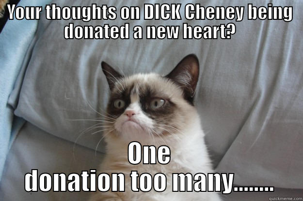 YOUR THOUGHTS ON DICK CHENEY BEING DONATED A NEW HEART? ONE DONATION TOO MANY........ Grumpy Cat