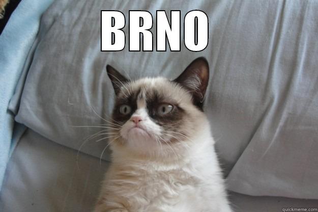 BRNO  Grumpy Cat