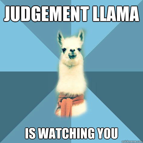 Judgement Llama Is watching you  Linguist Llama