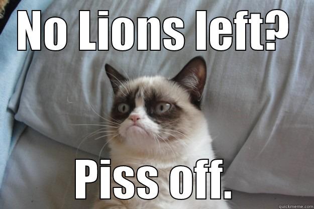 Heartbreak Hotel - NO LIONS LEFT? PISS OFF. Grumpy Cat