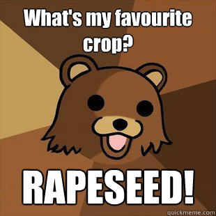 What's my favourite crop? RAPESEED!  