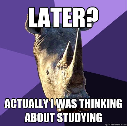 later? actually i was thinking about studying  Sexually Oblivious Rhino