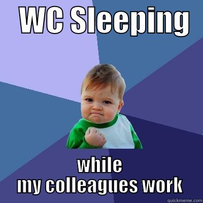    WC SLEEPING   WHILE MY COLLEAGUES WORK Success Kid