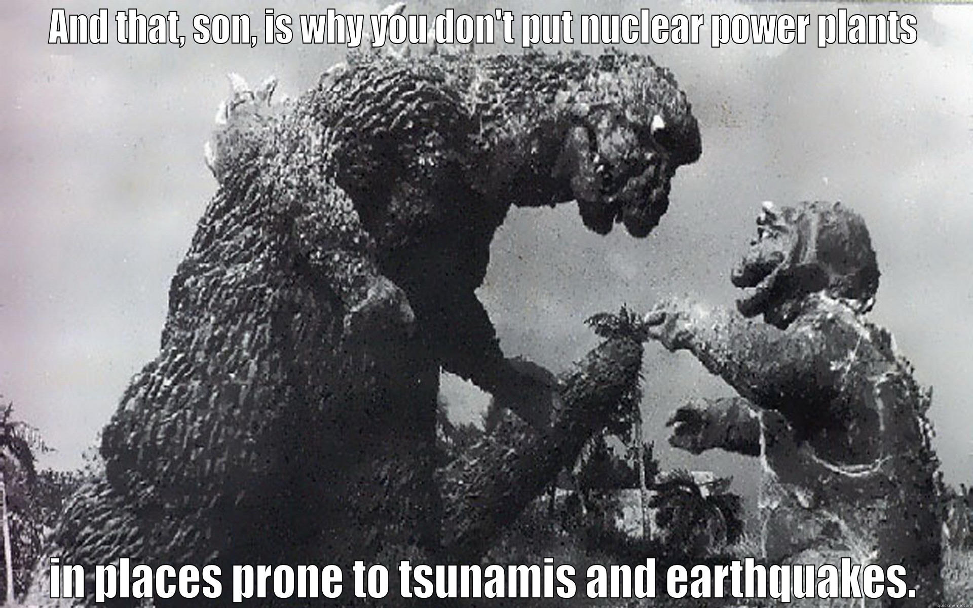 AND THAT, SON, IS WHY YOU DON'T PUT NUCLEAR POWER PLANTS IN PLACES PRONE TO TSUNAMIS AND EARTHQUAKES. Misc